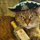 Tora Pietrzak - awatar