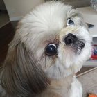 Artur Lelito - awatar