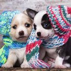 Kuba Godoń - awatar