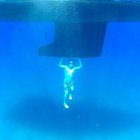 Teodor Teddi - awatar