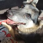 Iwona Paciok - awatar