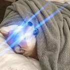 Michał Kubiś - awatar