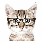 Anna Janicka - awatar