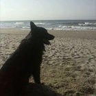 Joanna Malinowska - awatar