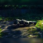 Damian Kwapiś - awatar