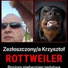 Krzysztof Dudkowski - awatar