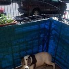 Marta Marta - awatar