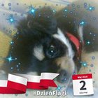 Marzena Dylewska - awatar