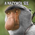 Janusz Z Pod Biedry - awatar