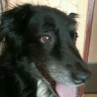 Magda Roszak - awatar