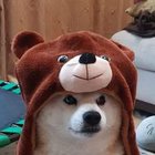 Mateusz Malinowski - awatar