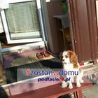 Teresa Orlinska - awatar