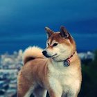 Mateusz Krupski - awatar