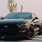 Marcel Brydniak - awatar