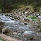 Piotr Bartnik - awatar