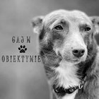 Oliwia Matuszewska - awatar