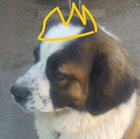 Sebastian Teżewski - awatar