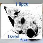 Kaśka Piątek-Wypiórkiewicz - awatar