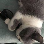 Ewa Powstańska - awatar