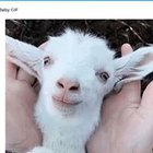 Marcin Szulc - awatar