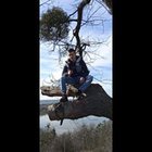 荼毘 蒼 炎 - awatar