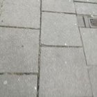 Janusz Piwero - awatar