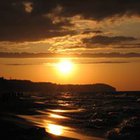 Bartosz Nowicki - awatar