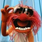 Robert Kamiński - awatar