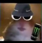 Jakub Petryk - awatar