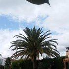 Bartek Bartek - awatar