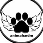 STOWARZYSZENIE ANIMALSNDM - awatar