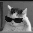 Margarita Dzhalalian - awatar