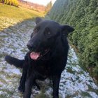 Mateusz Chołody - awatar