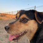 Julka Nowak - awatar