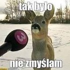 Krystian Pazdan - awatar