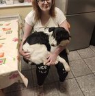 Myszka Miki - awatar