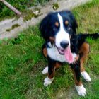 Marzena Bołądź - awatar