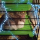 Szymon Kosiorowski - awatar