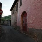 Wojciech Tomiak - awatar