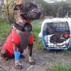 Emilia Ewa Szumiło - awatar