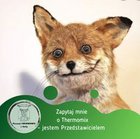 Barbara Lis - awatar