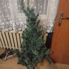 Basia Zawadka - awatar