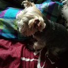 Marzena Chodak - awatar