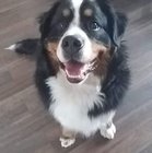 Renata Seroczyńska - awatar