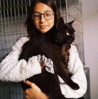 Meri Manukyan - awatar