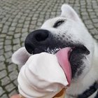 Monika Frąc - awatar