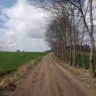 Ewka Koneffka - awatar