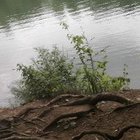 Piotr Werpolewski - awatar