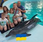 Vladimir Alekseev - awatar