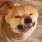 Aleksander Budziak - awatar